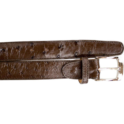 Belvedere Men's Brown Ostrich Quill Belt
