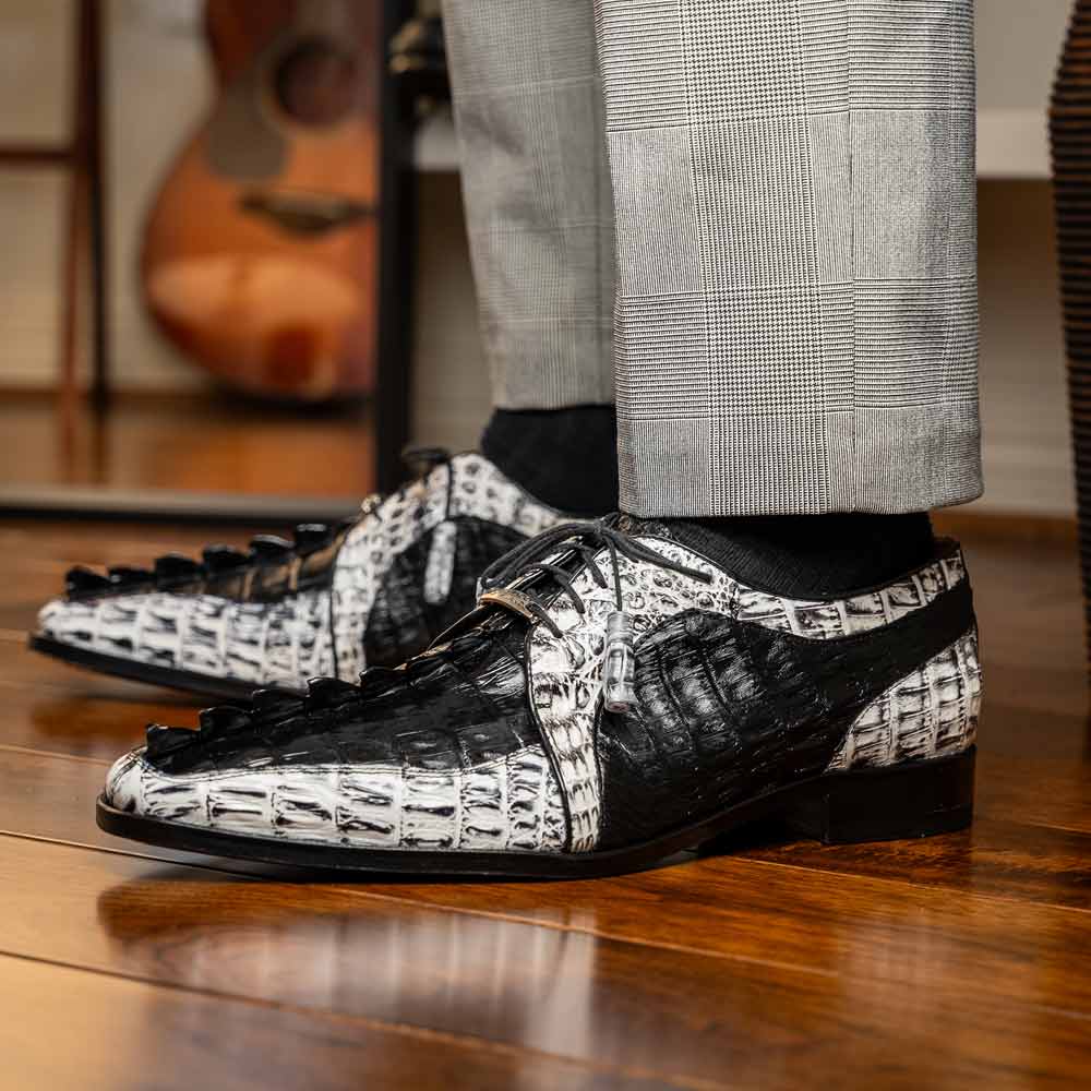 Marco Di Milano Caribe Derby Newspaper/Black Caiman Shoes