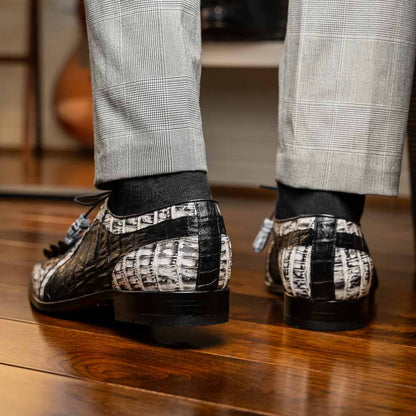 Marco Di Milano Caribe Derby Newspaper/Black Caiman Shoes
