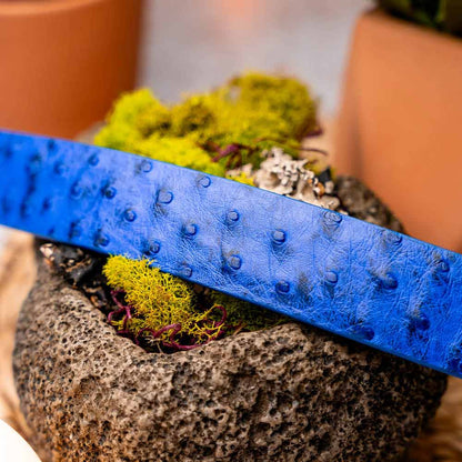 Domenico Men’s Genuine Exotic Ostrich Belts With Brushed Chrome Buckle | Marco Di Milano Exotic Belt in Blue